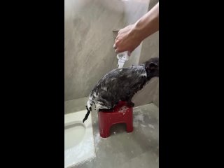 video from @videfunny | @videfunny