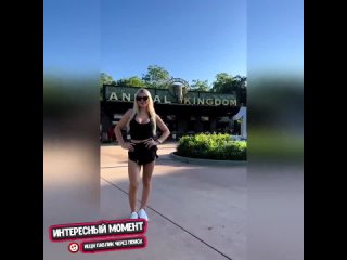 and who did it | @videfunny