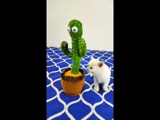video from @videfunny | @videfunny