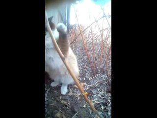 clip @videfunny | @videfunny