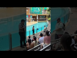 tom did not even expect seaworldmime tomteme funny funnycomed shorts comedy - [eryka travel]