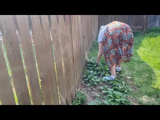video by doga dorik