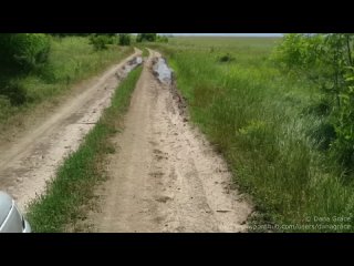 he took off the woman in the park and took it to his car | old men, blowjob, porn hd
