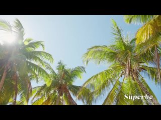 1111 superb mode 720p