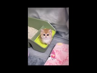 video from @videfunny | @videfunny