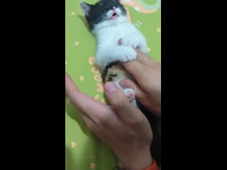 video from @videfunny | @videfunny