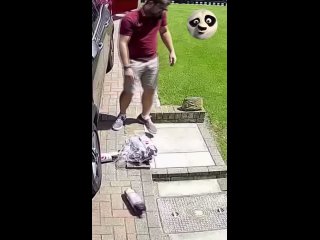 failes, after which you believe in gravity | @videfunny