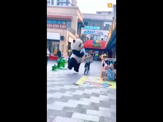panda prozhnik | @videfunny