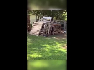 fale, in which even installation would not save the situation | @videfunny
