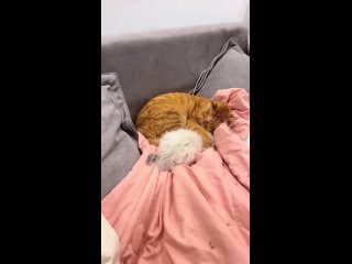 video from @videfunny | @videfunny