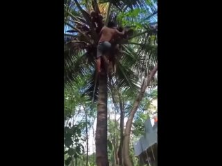 failes that look better in slow-mo | @videfunny