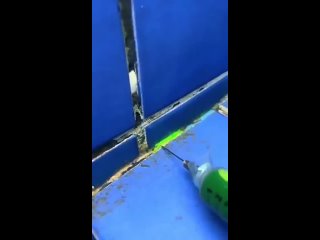 interesting method of searching leaks in the pool | @videfunny