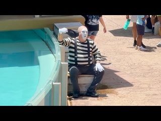 looking for a quick laughter? tom mime will do it - [eryka travel]
