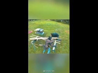 i would definitely not have gone to such an attraction. | @videfunny