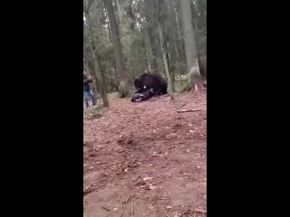 typical everyday life of a russian person, but how did you think | @videfunny