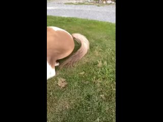 video from @videfunny | @videfunny