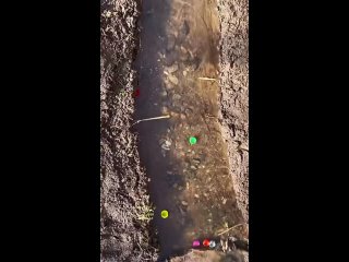 video from pro humor / bayan | @videfunny