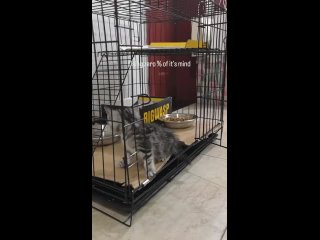 video from @videfunny | @videfunny