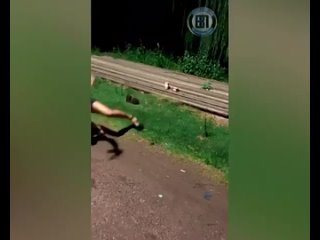aliens do not go here | @videfunny