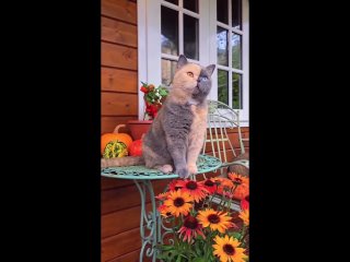 unusual color | @videfunny